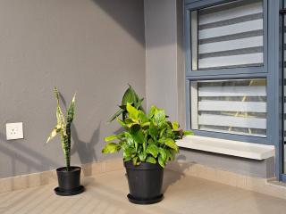 Zeeluli Mbabane CBD Apartments - 8