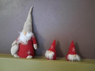 Gîte du Soleil - close to Europa-Park - 3