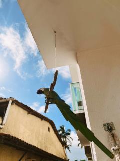 Pé na areia Ap completo 100m centro 300m praia - 8