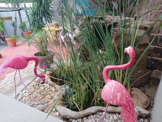 John-Lou's Studio Flat - 7