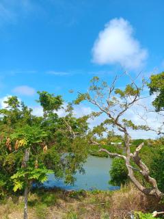 Lakeview villa - Port Louis - 9