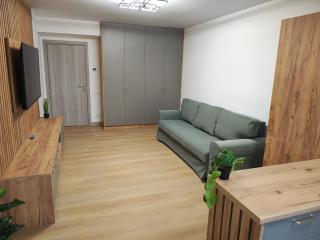 Inesaris Luxury Apartment - 2