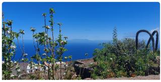 Casa Tío Pedro Martín - 4