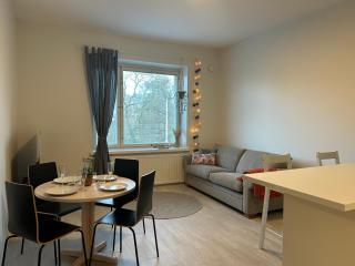 Condo Finlandia - in the heart of high culture - 9