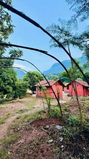 Jungle Homes - Kollengode - 6