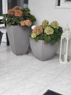 Sarkcsillag Vendégház - 4