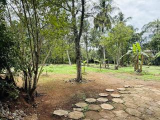 A tropical delight! - 6