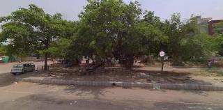 Delite studio apartments - 3