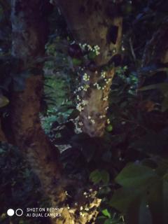 Contemporary house and beach - 3