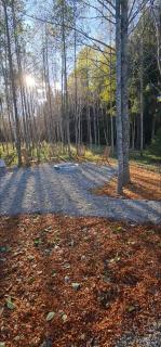 Užburtas Miškas - 8