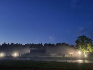 Užburtas Miškas - 7