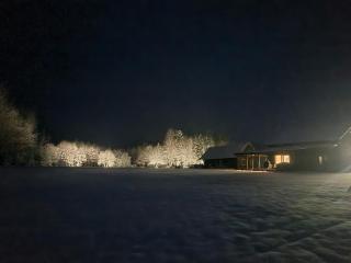 Užburtas Miškas - 6