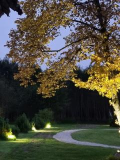 Užburtas Miškas - 5