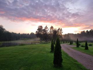 Užburtas Miškas - 3