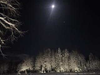 Užburtas Miškas - 2