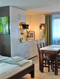 W sercu Małych Pienin - apartament - 8