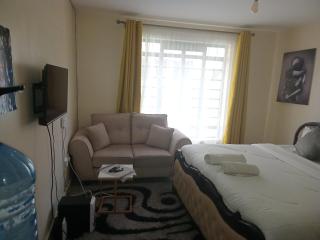 Cavendish Square Studio Apartment, Syokimau - 0