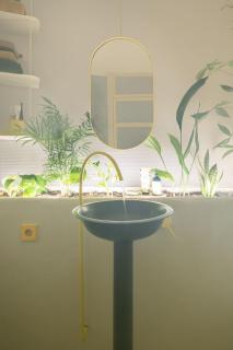 Corrigan Estudio - 1