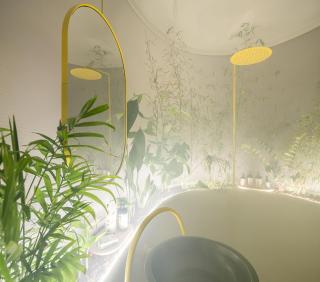 Corrigan Estudio - 4