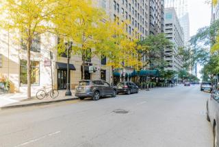 Gold Coast 1BR w Gym Pool nr Magnificent Mile CHI-221 - 7