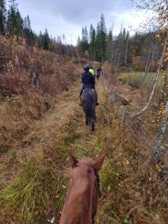 Leilighet med 2 soverom - 2