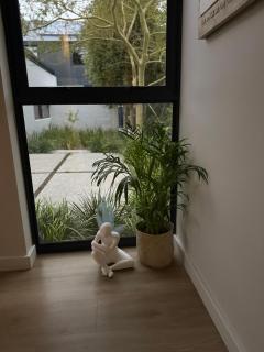 Mitchells Hermanus Gem - 2