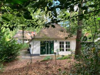 Hestia - Cottage in the woods! - 4