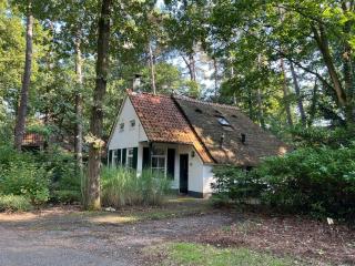 Hestia - Cottage in the woods! - 1