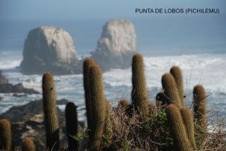 LITUECHE Casa Marea - El Rosario - 3