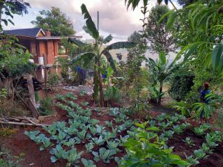 Chameleon Eco Farm Stay and Cultural Tours - 8