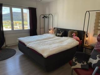 Relax Paradise in Bad Zurzach - 9