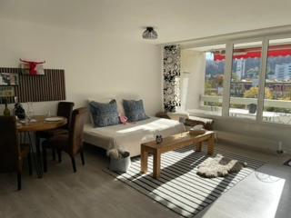 Relax Paradise in Bad Zurzach - 2