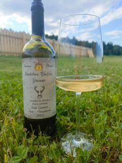 Domki Szychówka - 8