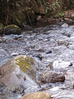 Casa Surpresa, Europäisches Flair - 5