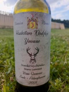 Domki Szychówka - 9