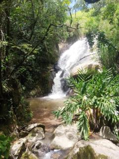 Chalé aconchegante com cachoeiras privadas - 7