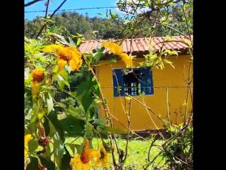 Chalé aconchegante com cachoeiras privadas - 4