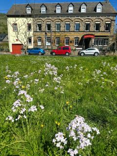 Ferienhaus Löwenherz - 0