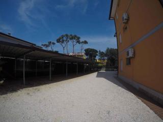 Apartments in Rosolina Mare 34043 - 6