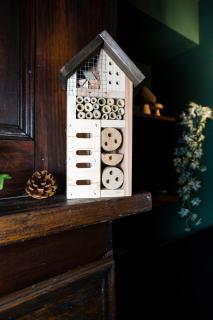 Le Sous-Bois, une parenthèse nature - 1