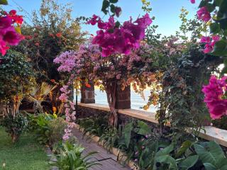 Bela Vigia - Jardim do Mar - 4