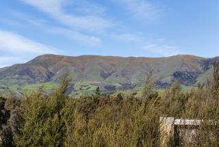 Luxury Container and Cabin with Outdoor Bath - 4