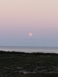 Loft Rio Tavares Florianópolis - 3