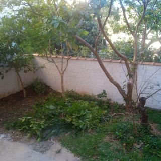 Home office solteiro aconchegante no Centro de Poços de Caldas - 5