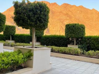 Al-Raha Luxury apartment - 8