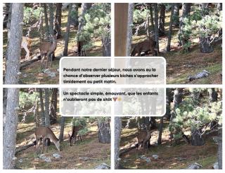 La Parenthèse - Appartement calme 100m pistes ski montagne randonnées Pyrénées - 1