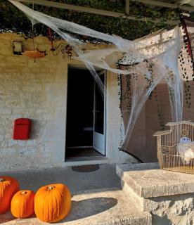 La Demeure du Phoenix - 1