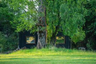 Cabañas Parque Futangue - 4