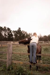 Bowral Farm Stay With Hot Tub & Horses - 6
