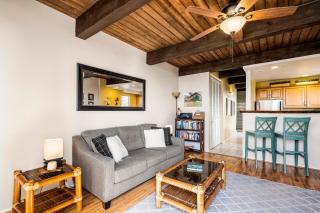 Kona Mansions D231 - 3